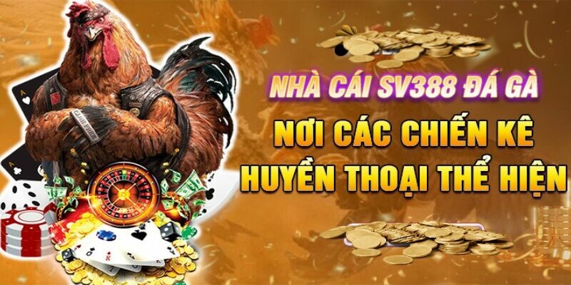 Đá Gà SV388 – Thiên Đường Của Các Tín Đồ Kê Thủ Trực Tuyến