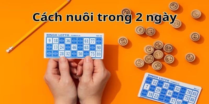 Hướng dẫn cách chơi dàn đề nuôi 2 ngày