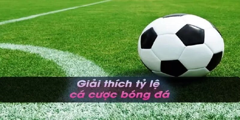 Khái niệm tỷ lệ kèo bet88