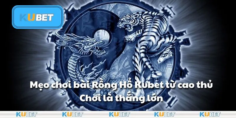 Mẹo đánh bài Rồng Hổ Kubet từ cao thủ: Chơi là thắng lớn
